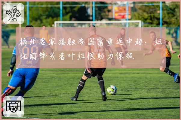 梅州客家接触洛国富重返中超,归化前锋或落叶归根助力保级