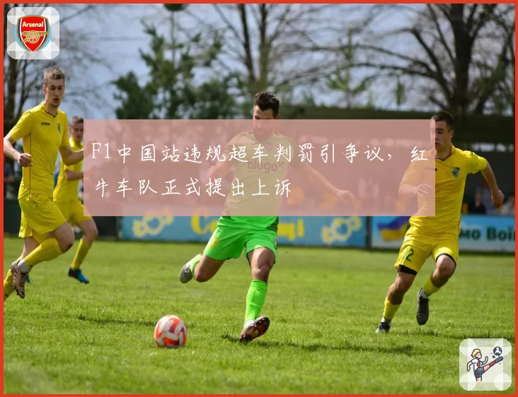 F1中国站违规超车判罚引争议,红牛车队正式提出上诉