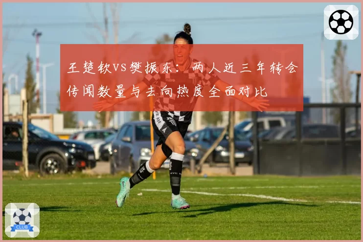 王楚钦vs樊振东：两人近三年转会传闻数量与去向热度全面对比